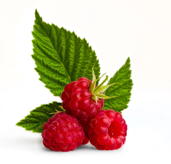 Ripe raspberry with leaf — Stock Photo, Image