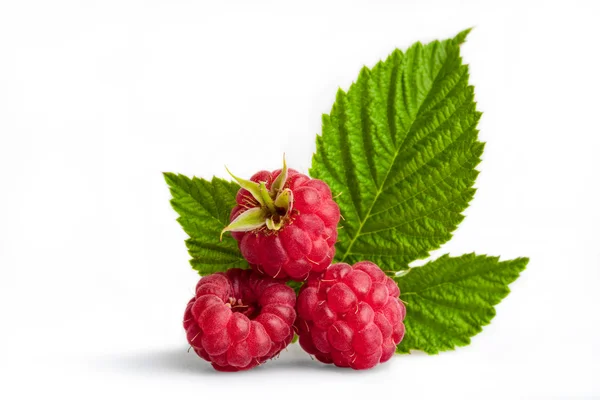 Ripe raspberry with leaf — Stock Photo, Image