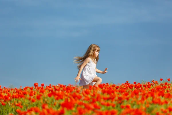 Little girl in a poppy field — Stock Photo, Image