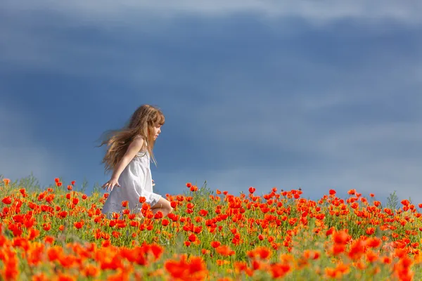 Little girl in a poppy field — Stock Photo, Image