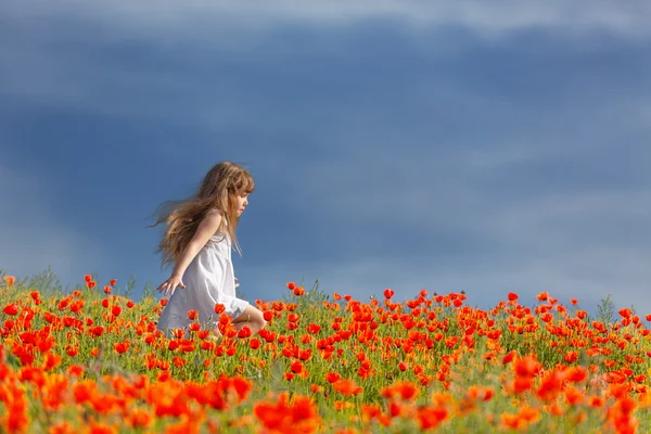 Little girl in a poppy field — Stock Photo, Image