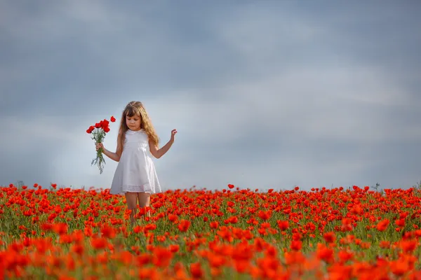 Little girl in a poppy field — Stock Photo, Image