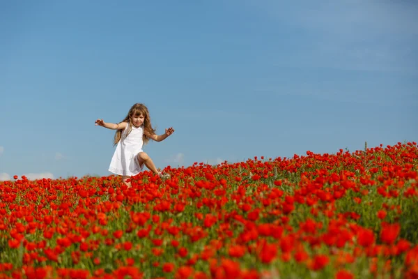 Little girl in a poppy field — Stock Photo, Image