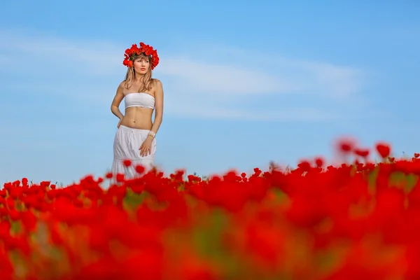 Dívka v bílých šatech v makovém poli — Stock fotografie