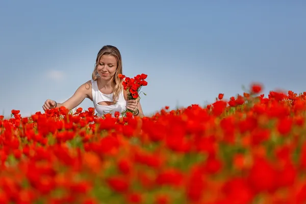 Girl in a white dress in the poppy field — Stock Photo, Image