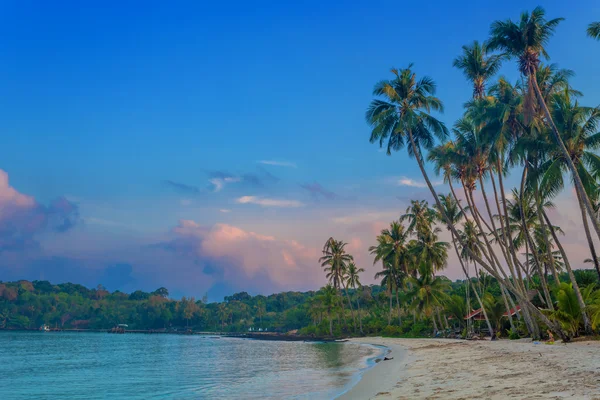 Sunrise bir tropikal plaj — Stok fotoğraf