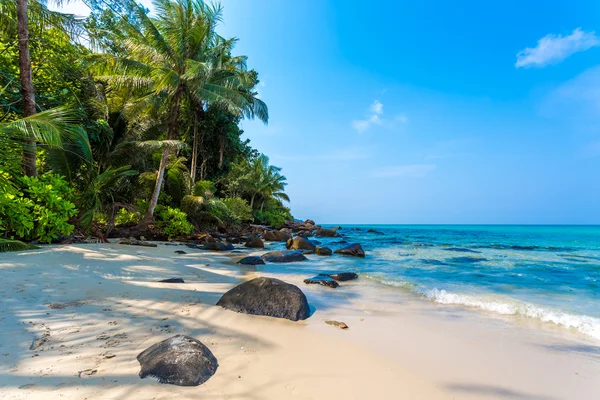 Amanecer en una playa tropical — Foto de Stock
