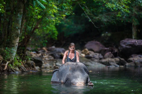Flickan med elefanten i vattnet — Stockfoto