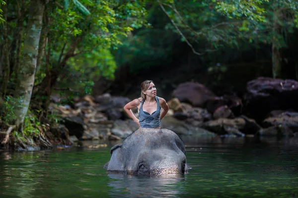 La chica con el elefante en el agua — Foto de Stock