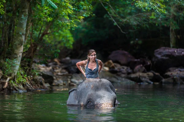 La chica con el elefante en el agua — Foto de Stock