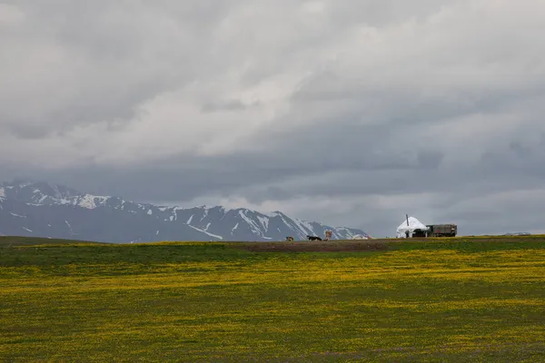 Nomadenkamp Een Bergdal — Stockfoto