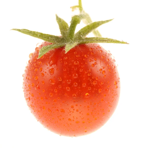 Frische Tomaten — Stockfoto