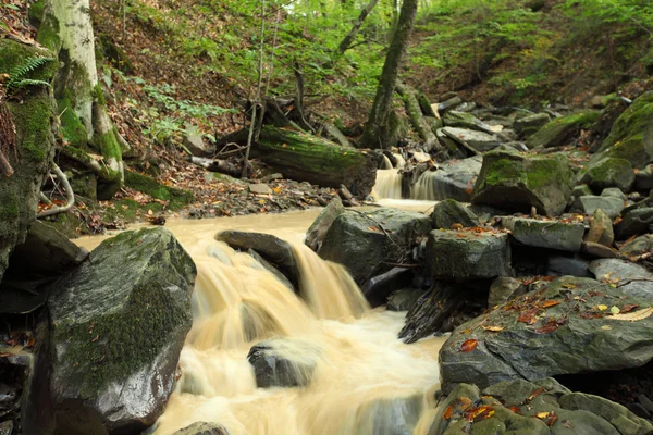 Flodbäck — Stockfoto