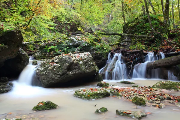 Cachoeira na floresta — Fotografia de Stock