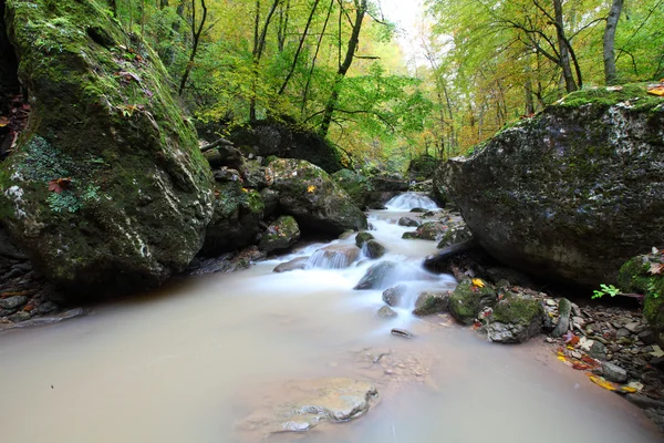 Vattenfall i skogen — Stockfoto