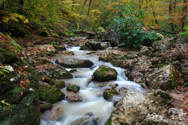 Flod flöde — Stockfoto