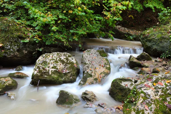 Fluxo fluvial — Fotografia de Stock