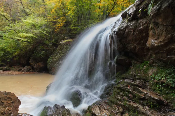 Cascada del bosque —  Fotos de Stock