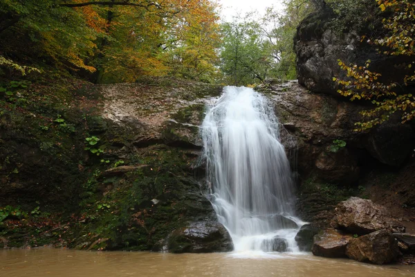 Floresta Cachoeira — Fotografia de Stock