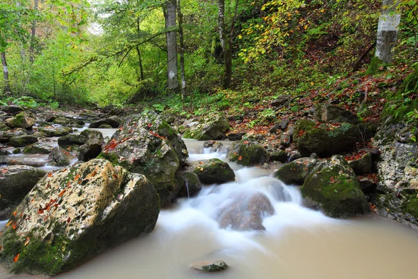 Akış — Stok fotoğraf