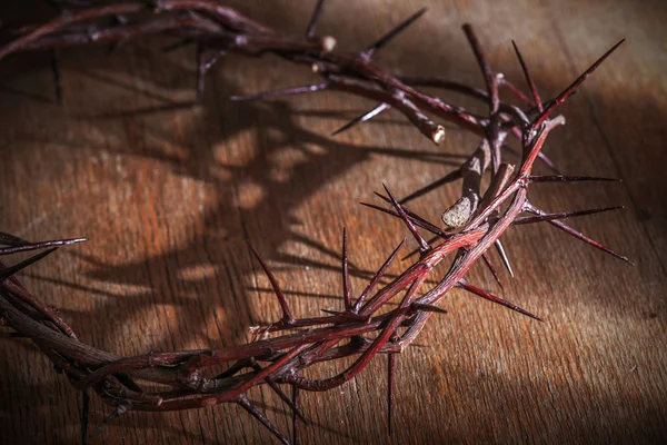 This is a crown of thorns — Stock Photo, Image