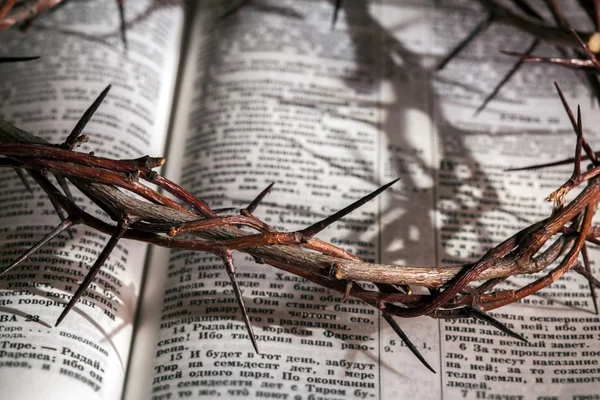 This is a crown of thorns — Stock Photo, Image