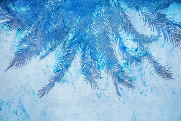Grunge palm background — Stock Photo, Image