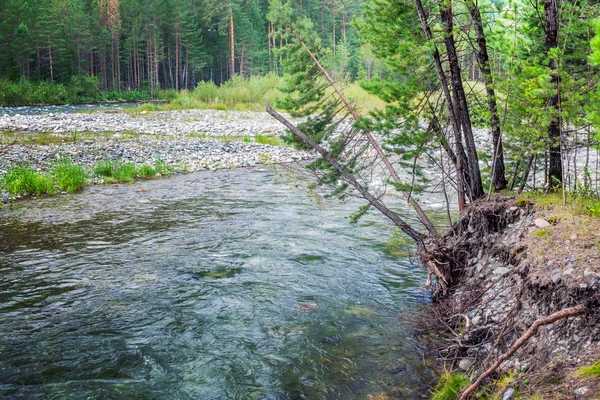 강이 흐르는 풍경 — 스톡 사진