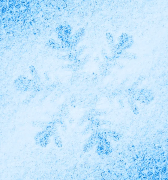 Νιφάδα χιονιού στο χιόνι. — Φωτογραφία Αρχείου