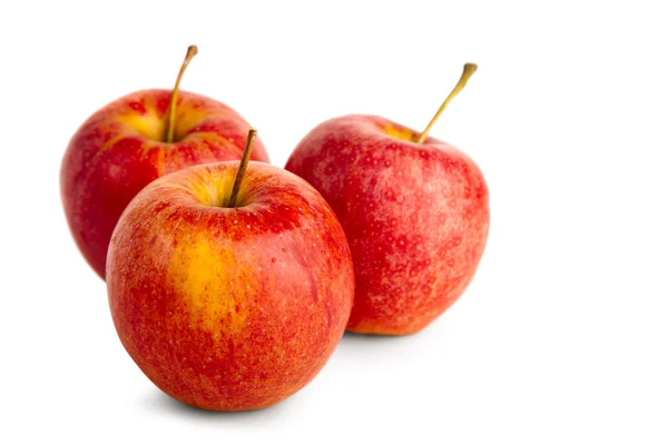 Ripe red apple — Stock Photo, Image