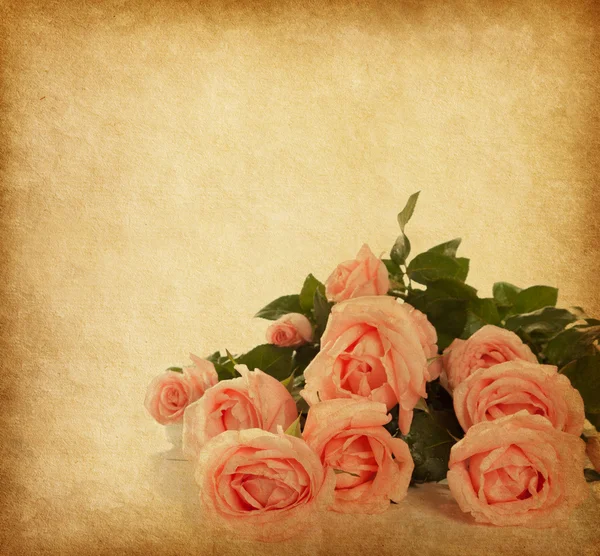 Oude grunge achtergrond met rozen. — Stockfoto