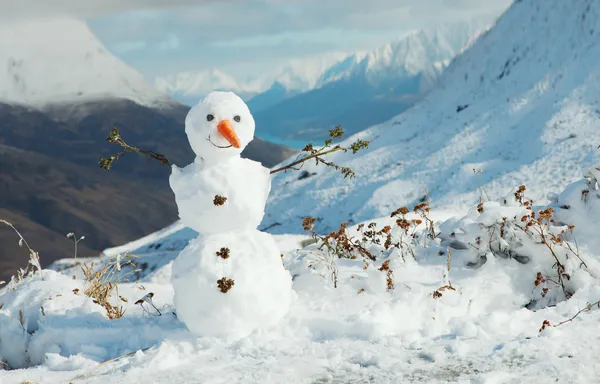 Bonhomme de neige heureux — Photo