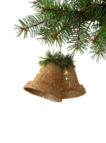 Two bells hanging on a spruce — Stock Photo, Image