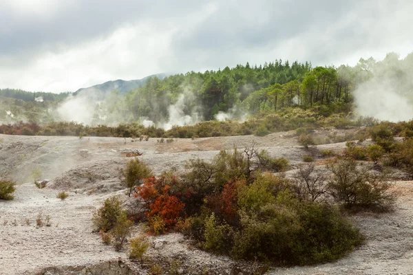 Landscape with steaming hot springs — Stock Photo, Image