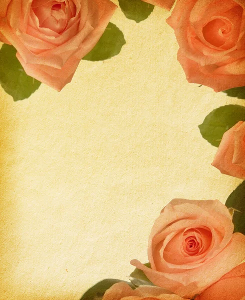 Starý papír textury s růží — Stock fotografie