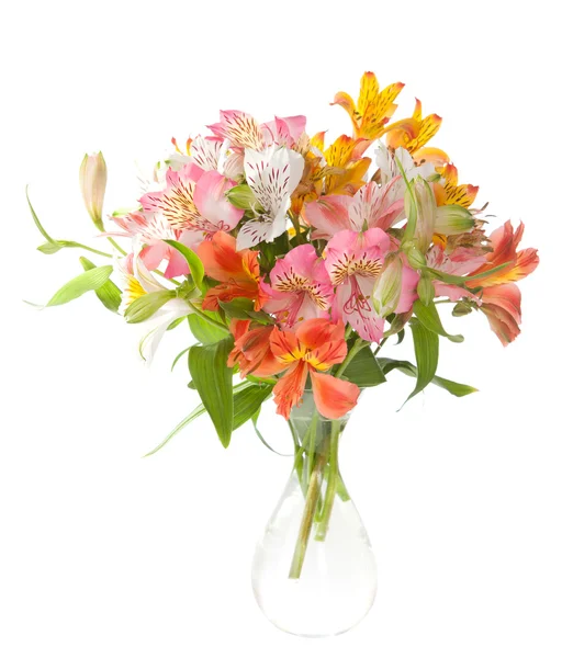 Bouquet di fiori di alstroemeria — Foto Stock