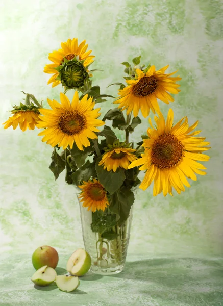 Zonnebloemen — Stockfoto