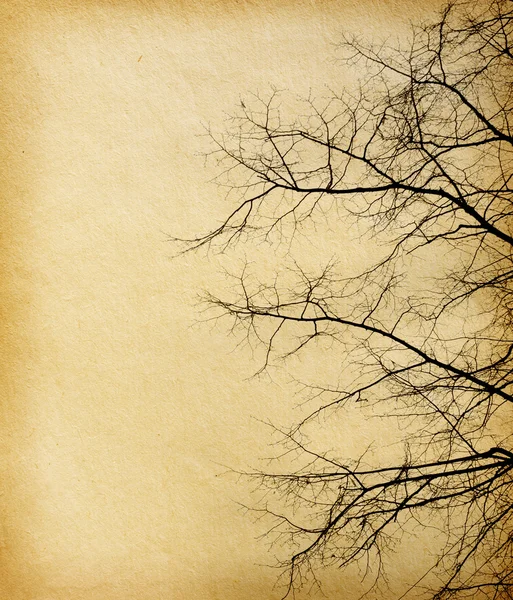 Vieilles textures de papier. arbre sans feuilles — Photo