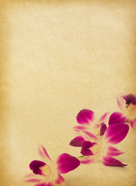 Paper  background with purple orchid  . — Stock Photo, Image