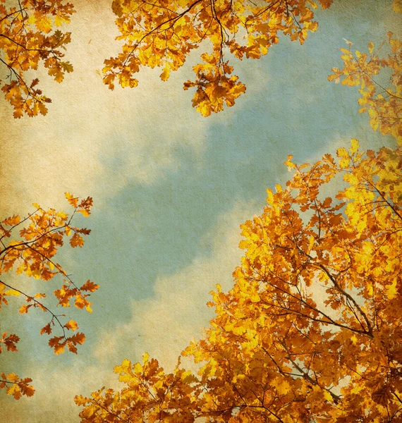 Hojas de otoño en el fondo del cielo —  Fotos de Stock