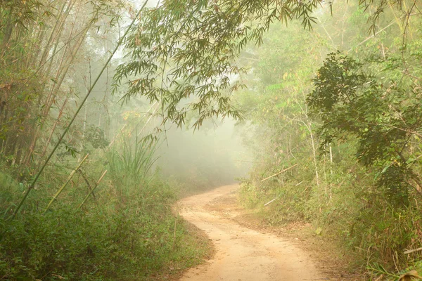 Estrada terrestre na selva perto de Umphang, Tailândia — Fotografia de Stock