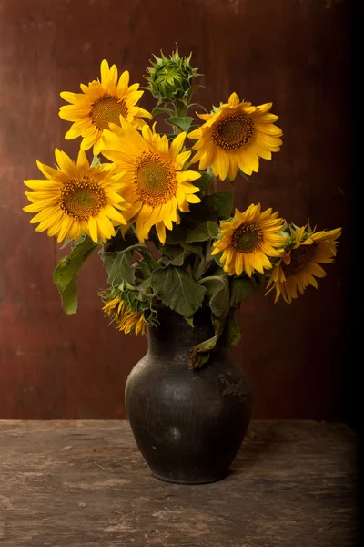 Zonnebloemen — Stockfoto