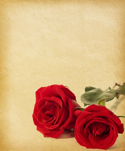 Vecchie texture di carta con due rose rosse — Foto Stock