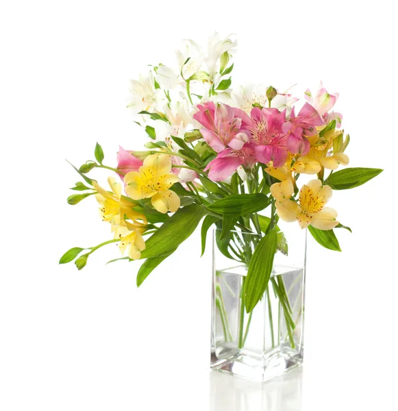 Alstroemeria flores — Foto de Stock