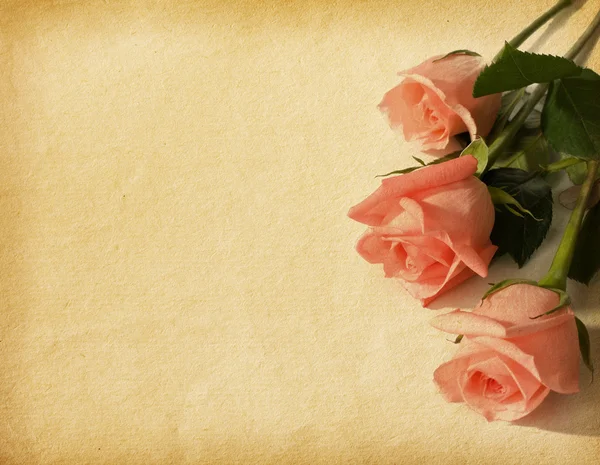 Vecchie texture di carta con tre rose rosa — Foto Stock