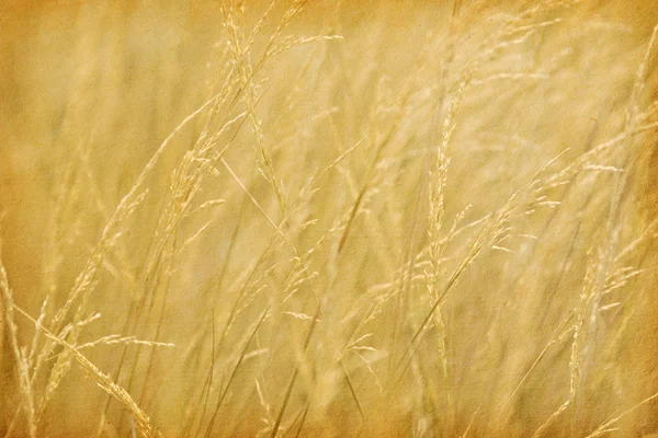 Текстуры бумаги. фон травы — стоковое фото