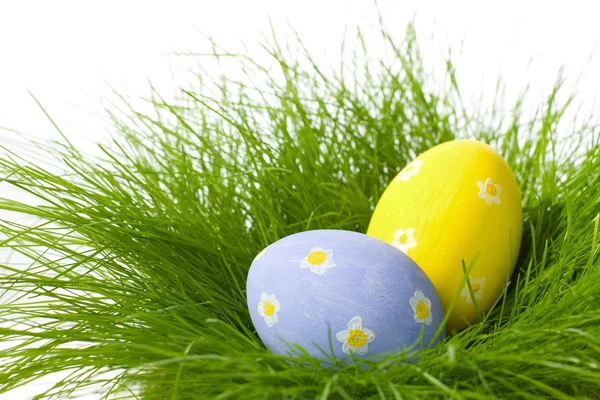 Oeufs de Pâques dans l'herbe — Photo