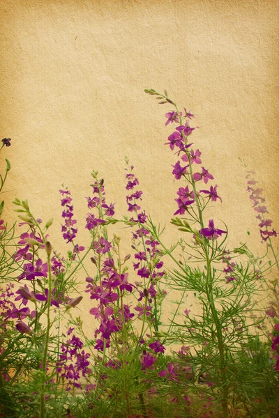 老式的花卉纸张的质地纹理. — 图库照片