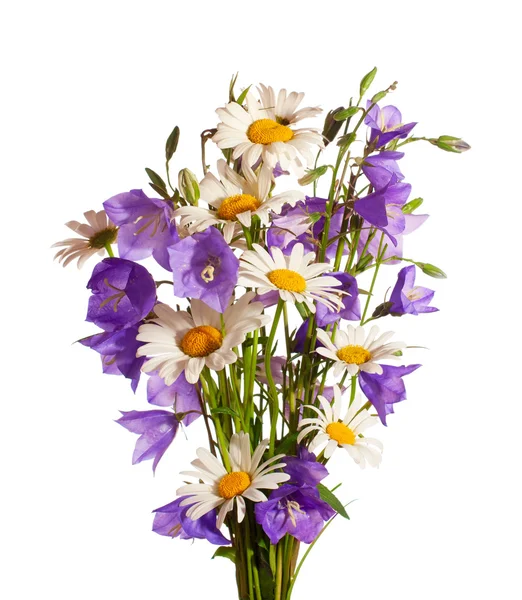 Bukett med vilda blommor — Stockfoto