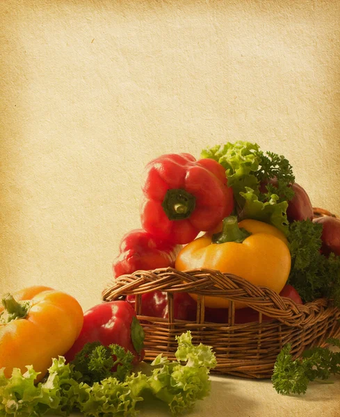 Papel viejo con verduras — Foto de Stock